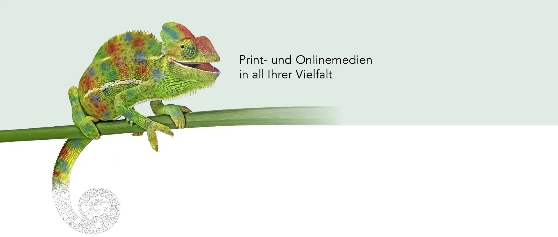 Print- und Onlinemedien in all ihrer Vielfalt